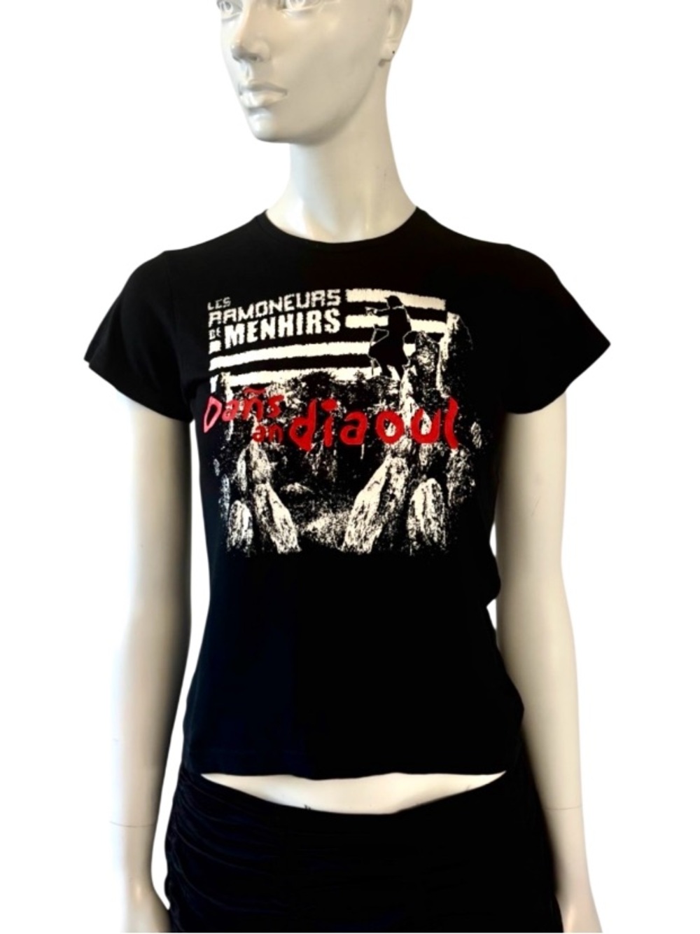 Graphic Tshirt French Rock Band Les Ramoneurs de menhirs